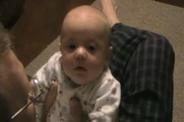 noah